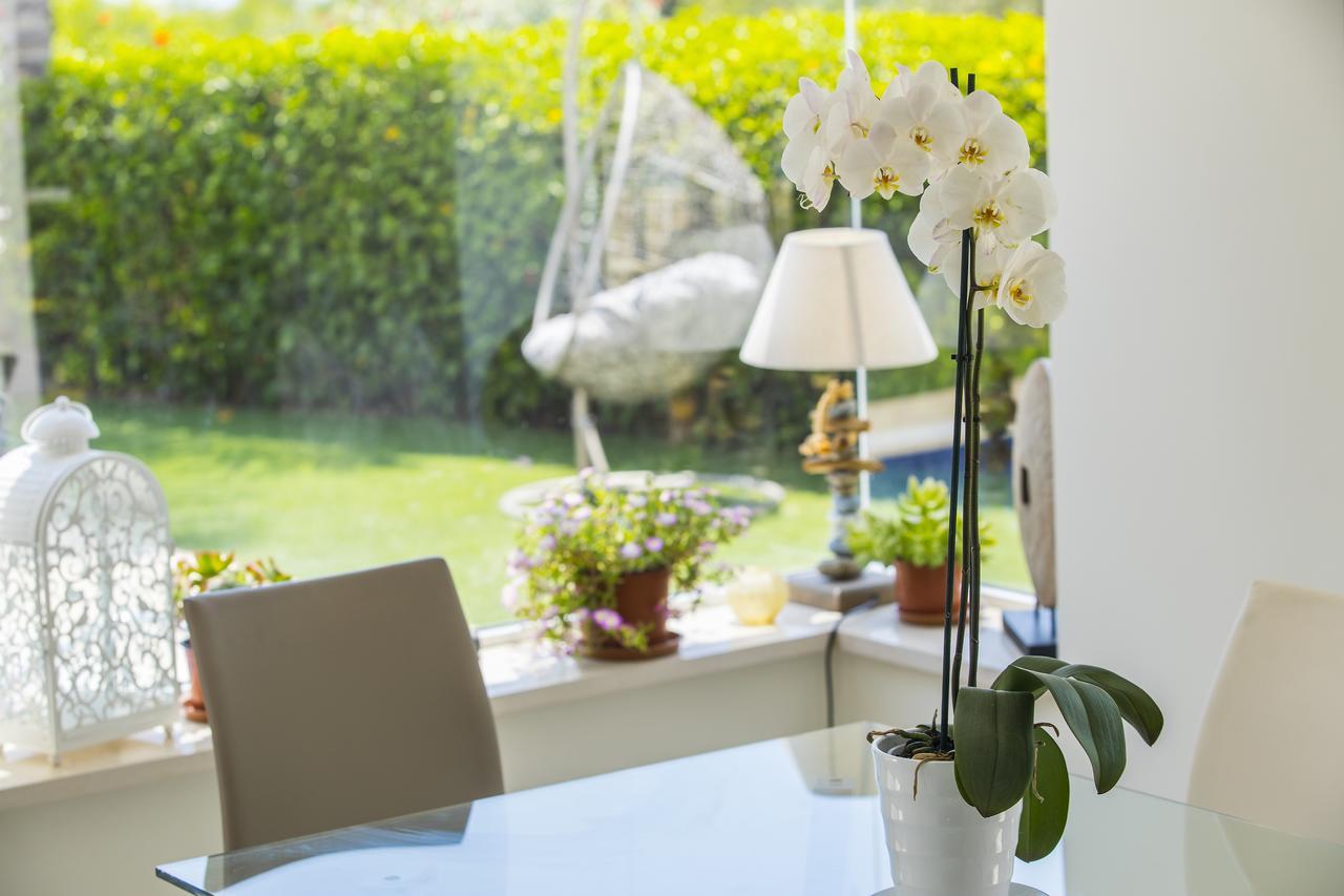 Villa Elias Αγία Νάπα Εξωτερικό φωτογραφία