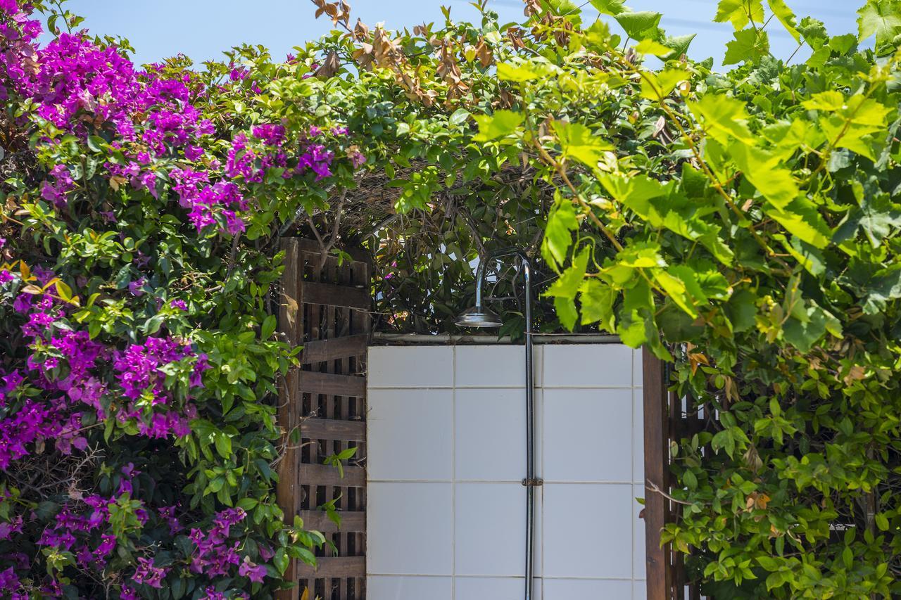 Villa Elias Αγία Νάπα Εξωτερικό φωτογραφία