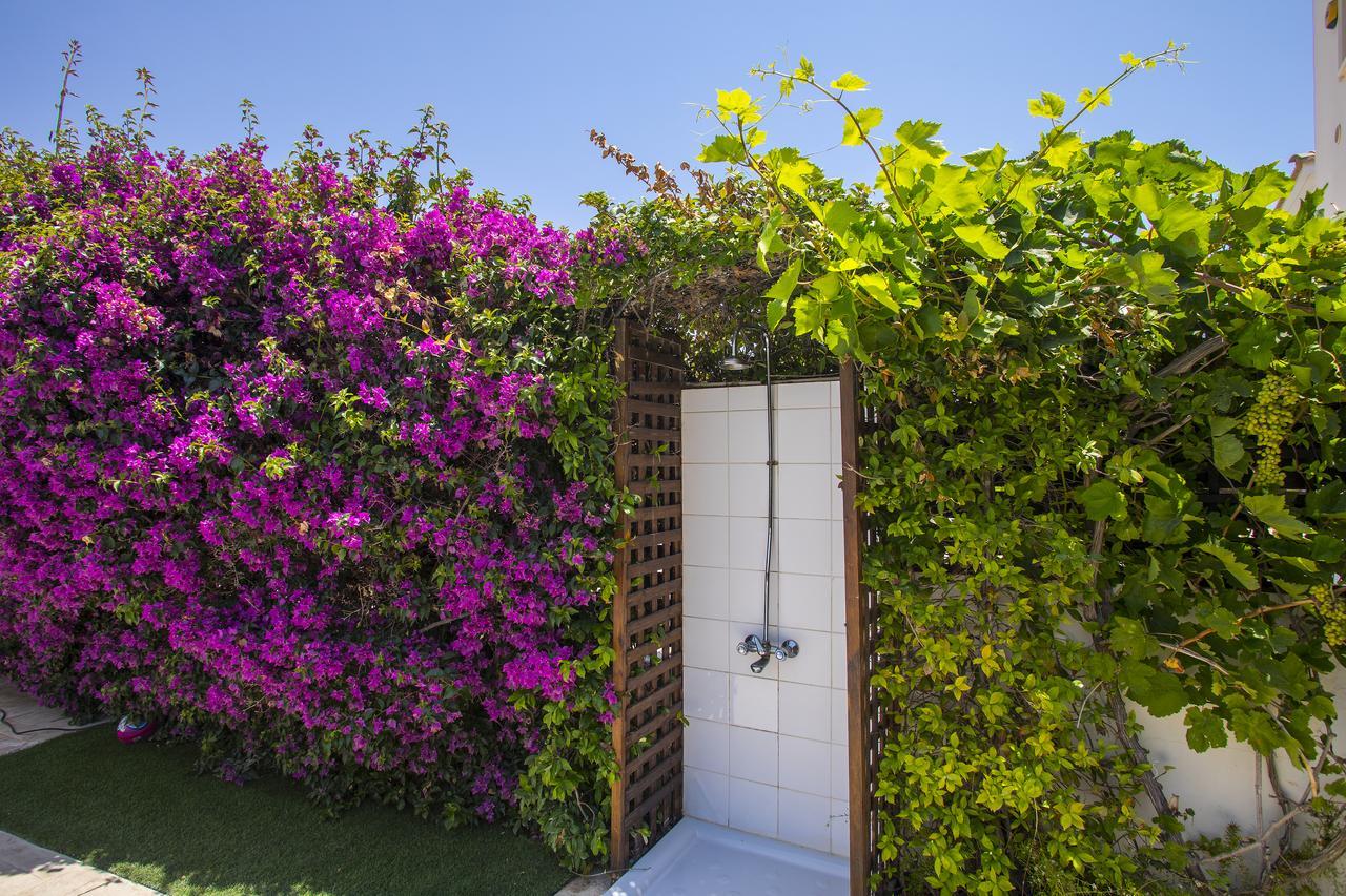 Villa Elias Αγία Νάπα Εξωτερικό φωτογραφία